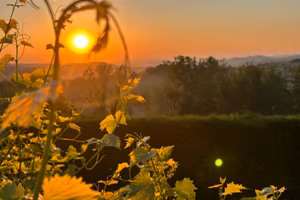 Rilassati in mezzo al verde