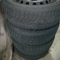 Cerchi e gomme invernali