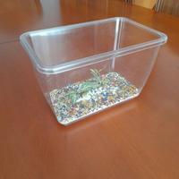 Acquario in plastica e gesso da 1,5 litri.
