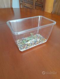 Acquario in plastica e gesso da 1,5 litri.