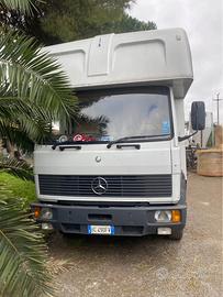 Camion trasporto cavalli