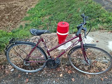 biciclette lui e lei