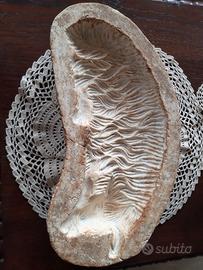 Antico stampo in gesso agnello pasquale