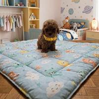 Barboncini toy cuccioli maschietti