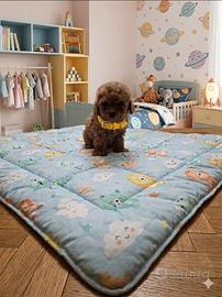 Barboncini toy cuccioli maschietti