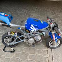 Beta Minicross