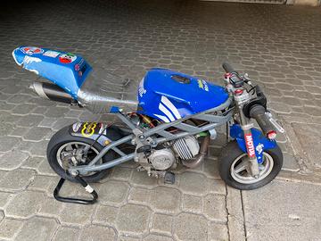 Altro Altro modello - 2012