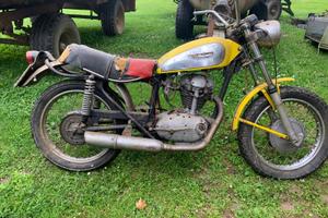 Ducati scrambler 250