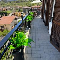 Attico Tagliacozzo-ELEGANZA,ARTE E BENESSERE