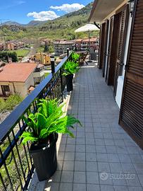 Attico Tagliacozzo-ELEGANZA,ARTE E BENESSERE