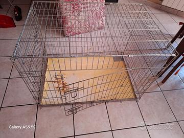 gabbia cagnolino