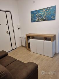 Trilocale appena ristrutturato