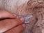 Immagine 3