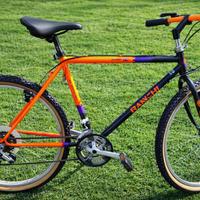 Mountain bike Bianchi Aspid