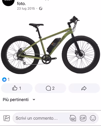 Fat bike elettrica