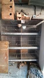 gabbie voliere per canarini e pappagalli