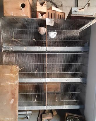 gabbie voliere per canarini e pappagalli