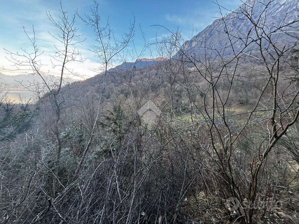 TER. AGRICOLO A LIERNA - Altro