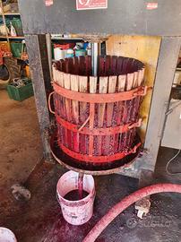 Torchio idraulico da 60 elettrico