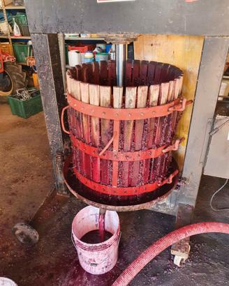 Torchio idraulico da 60 elettrico