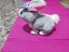 Immagine 4