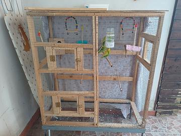 Voliera grande+cocoriti+accessori