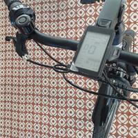 Bicicletta elettrica