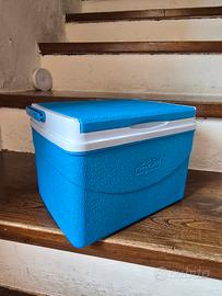 Frigo portatile/contenitore termico 