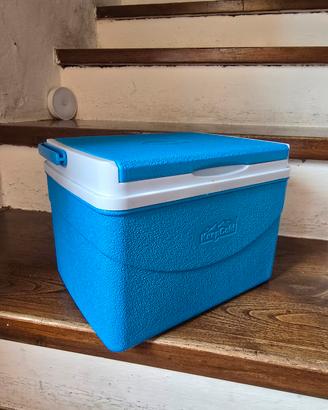 Frigo portatile/contenitore termico 