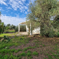 Terreno Contrada della Regina Ginosa Marina