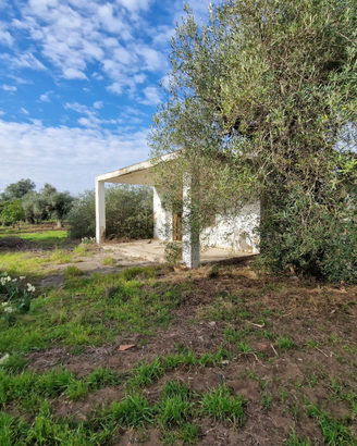 Terreno Contrada della Regina Ginosa Marina