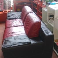 Due divani in pelle buone condizioni 