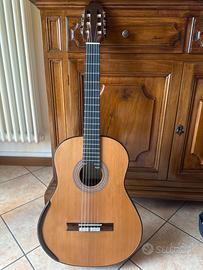 Chitarra da concerto