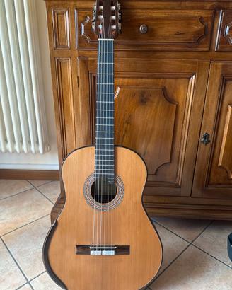 Chitarra da concerto