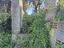 Immagine 22