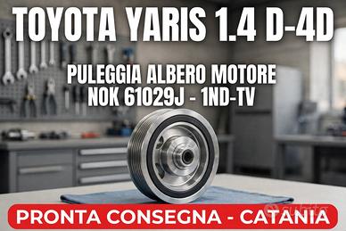 Puleggia albero motore damper NOK 61029j