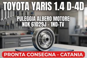 Puleggia albero motore damper NOK 61029j