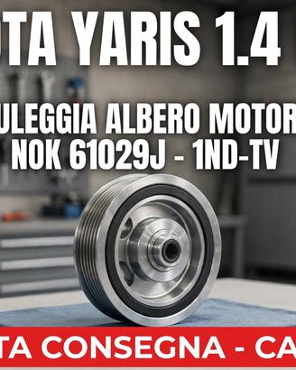 Puleggia albero motore damper NOK 61029j