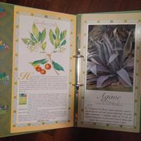 libro di fiori e piante 