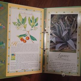 libro di fiori e piante 