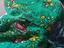 Immagine 4