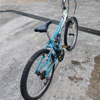 mountain bike