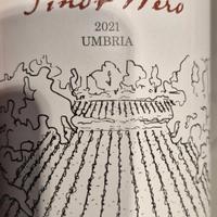 4 x pinot nero la Medeleine 2021 