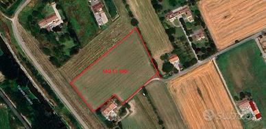 Terreno di 11500 m² a Guastalla