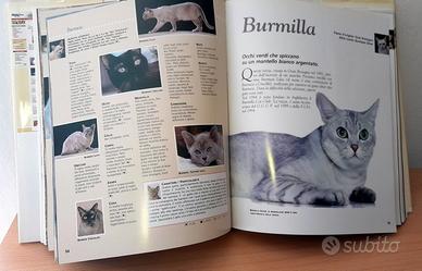 ENCICLOPEDIA DEL GATTO
