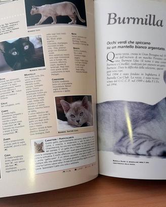 ENCICLOPEDIA DEL GATTO