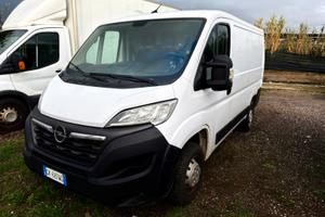 Fiat Ducato - 2022