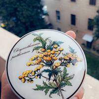 Scatolina per caramelle Villeroy & Boch