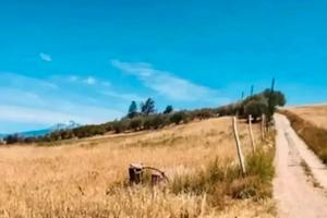 Terreno Agricolo Con Casa Vendoo Ramacca