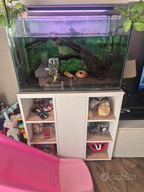 acquario zolux 160lt